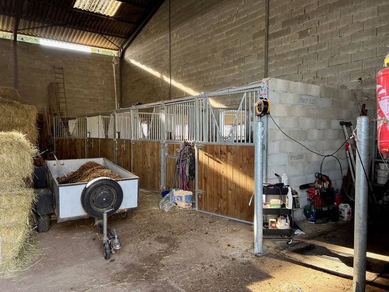 Propriété équestre à vendre entre Avignon et Saint Rémy de Provence avec 2 hectares de paddocks, hangar, boxes à chevaux, carrière d'entrainement.