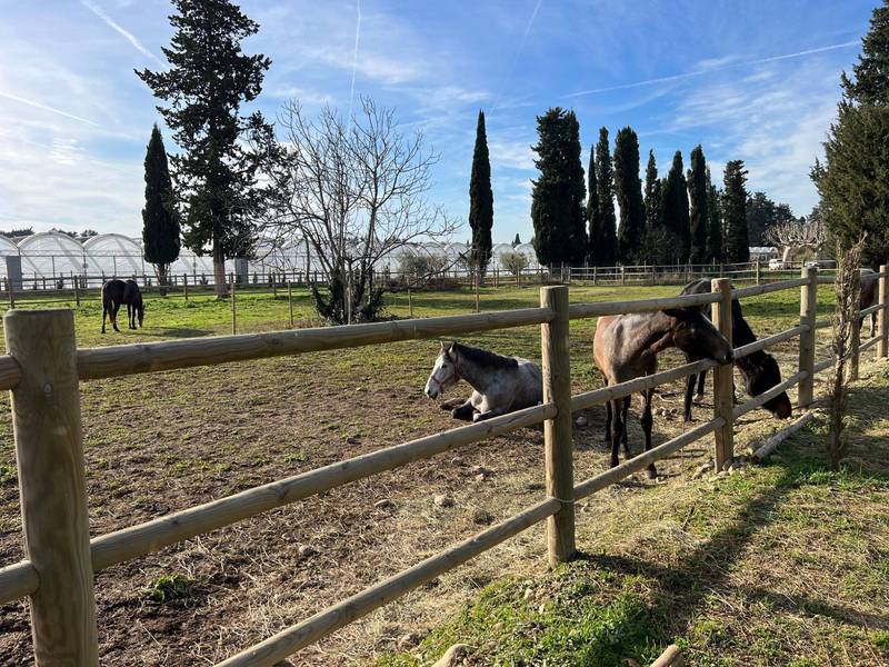 propriété équestre avignon