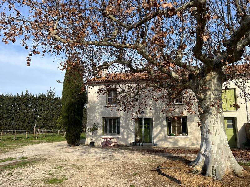 immobilier avignon