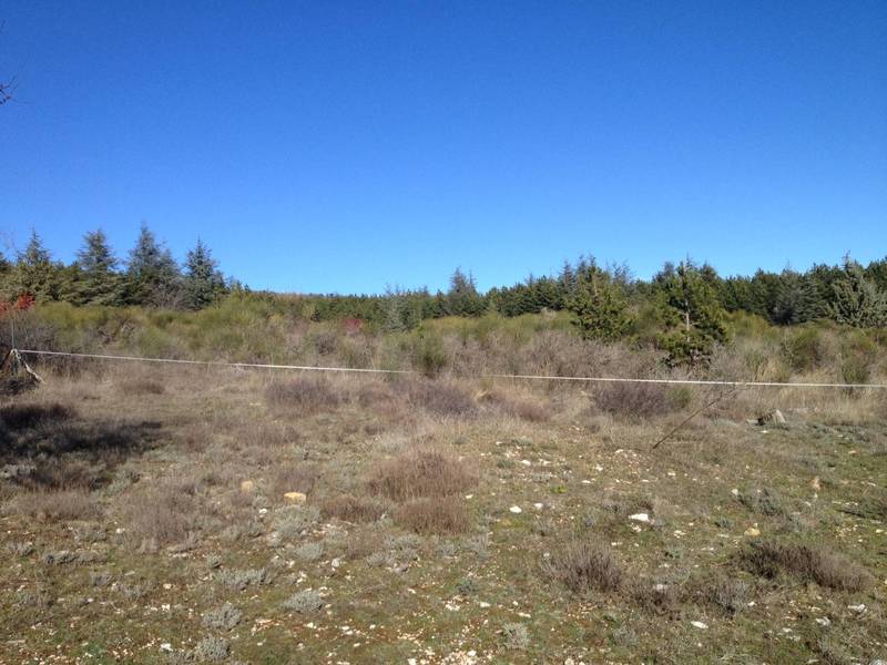 terrain à batir à vendre dans un village proche de Forcalquier