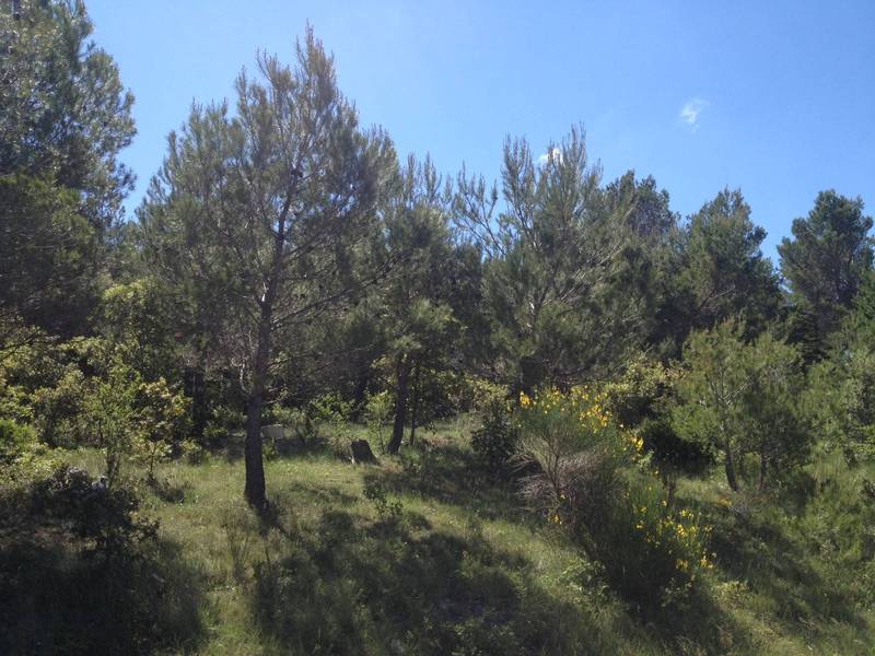 Murs terrain constructible à vendre