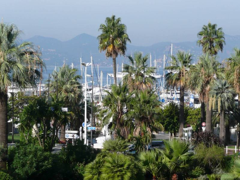 Cannes croisette appartement vue mer