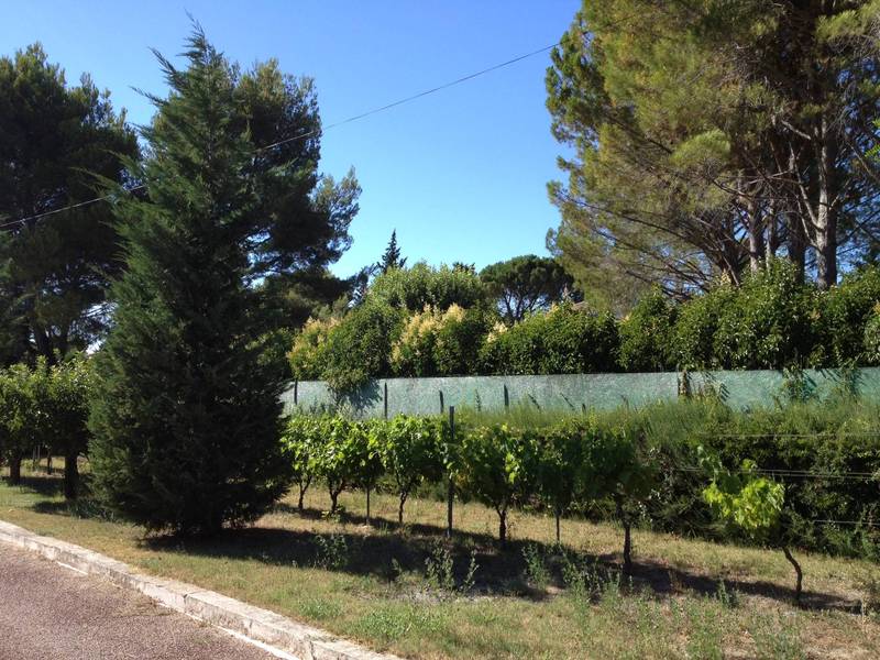 Appartement avec jardin à la vente Isle sur la Sorgue