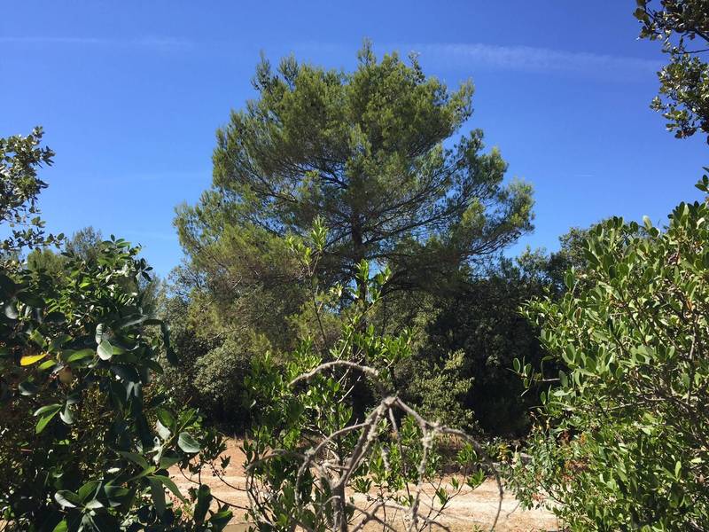 Luberon terrain à vendre