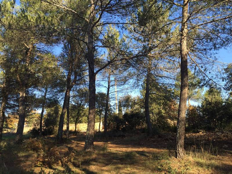 acheter un terrain à Menerbes