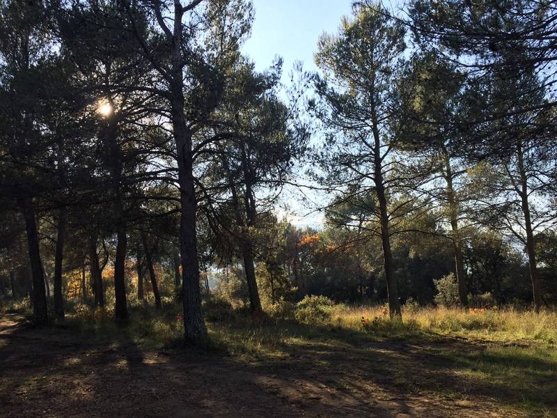 Construire une maison dans le luberon