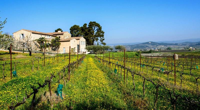 Mas à vendre à Bonnieux au milieu des vignes