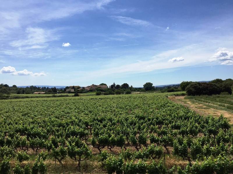 Bastide au coeur des vignes dans le luberon