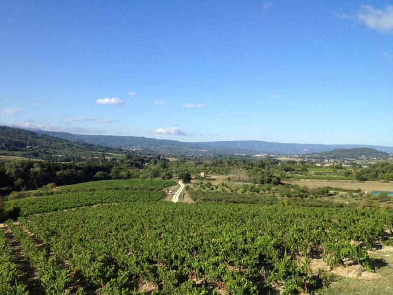Maison d'architecte à vendre avec belle vue sur les vignes