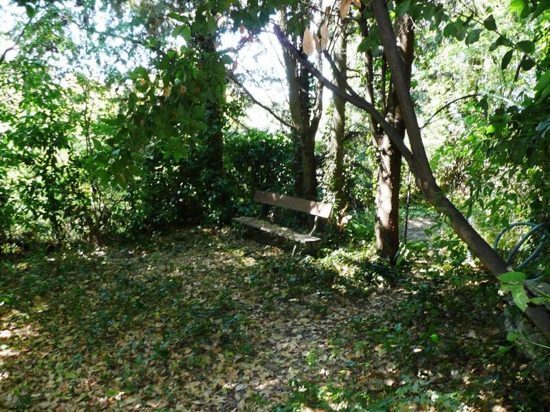 maison de village avec un petit jardin ombragé