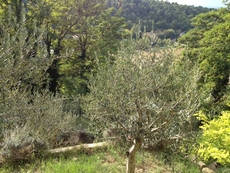 Propriété en vente à Menerbes avec jardin en restanques exposé plein sud