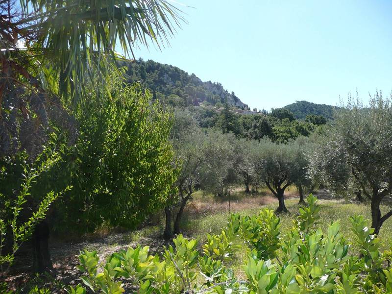 Demeure de village à vendre à SEGURET  avec une oliveraie