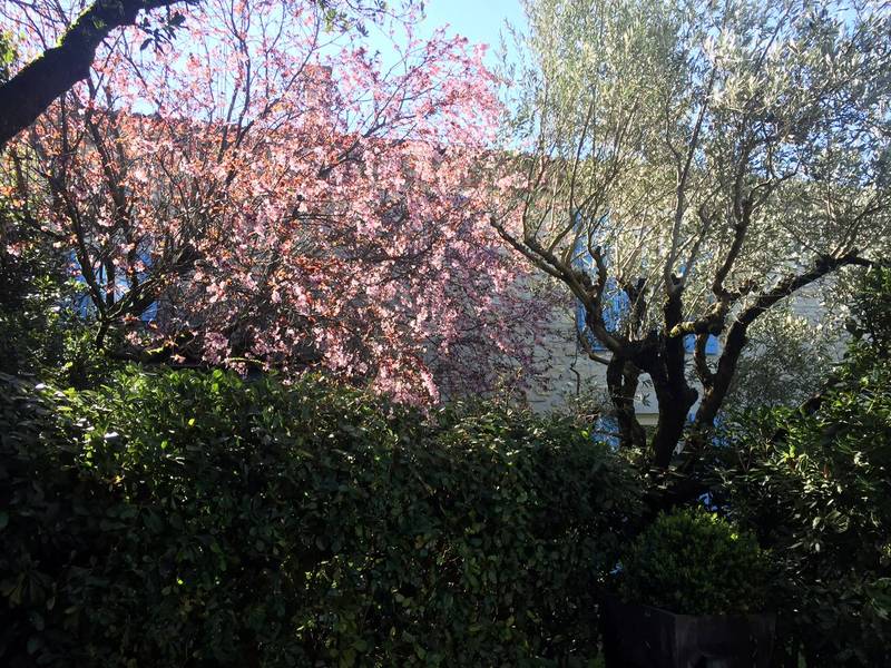 Maison en pierre avec jardin arboré et piscine à vendre près de Vaison la Romaine