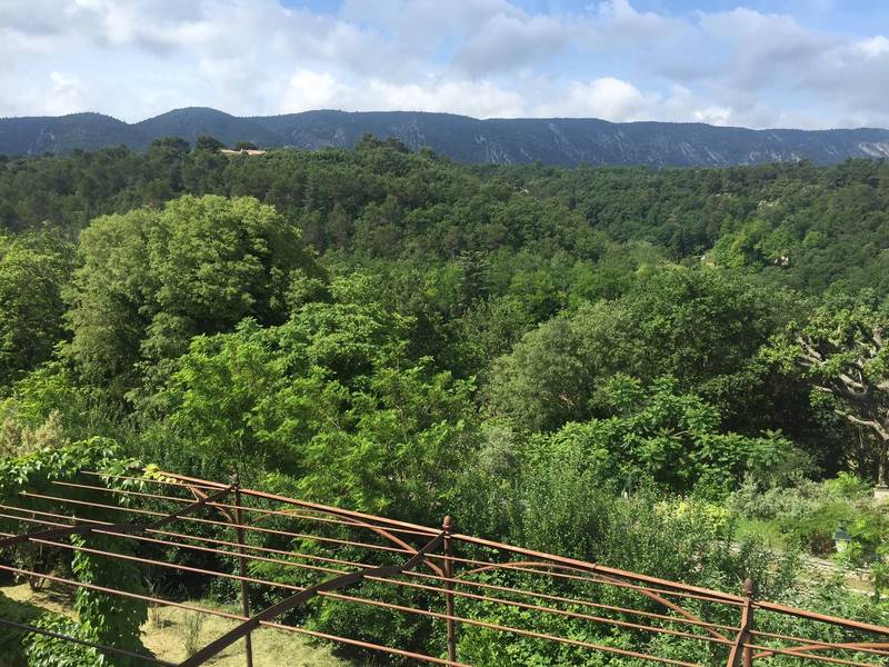 Maison de village à Menerbes avec maison d'amis jardin et piscine