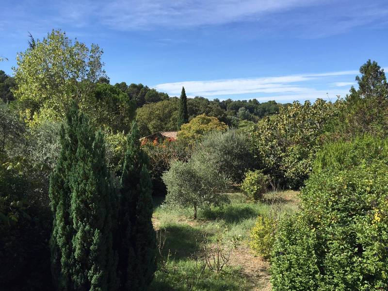 ménerbes immobilier