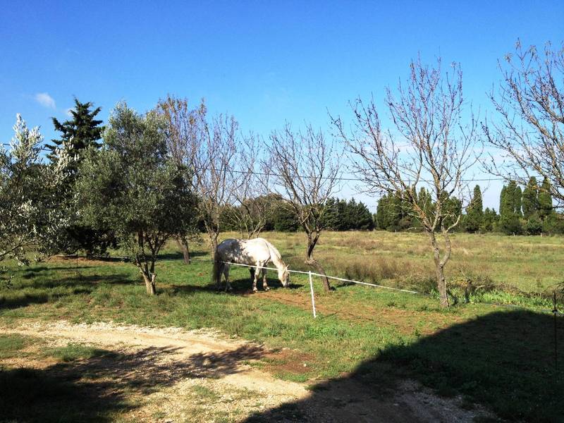 Propriété à vendre à Saint Rémy de Provence