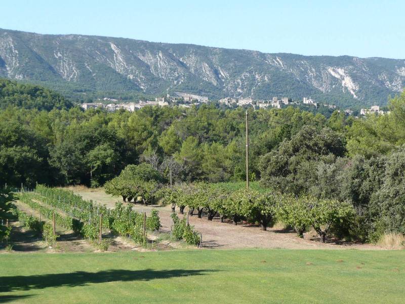 Villa à Menerbes avec vue sur le Luberon