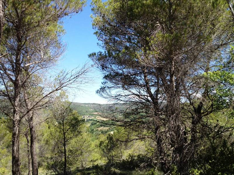 Gordes maison avec vue à la vente