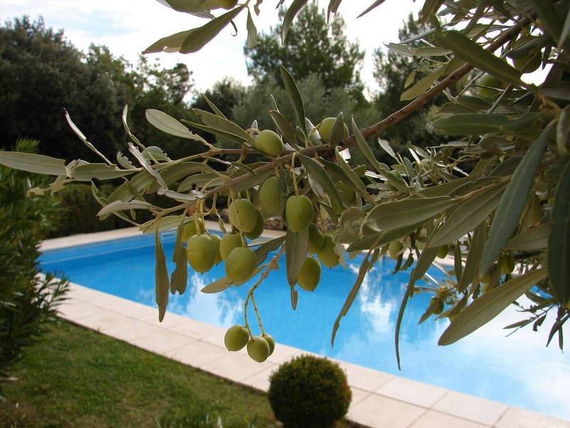 Cabrières d'Avignon villa à vendre