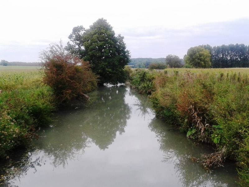 Moulin à la vente près de Chatellerault