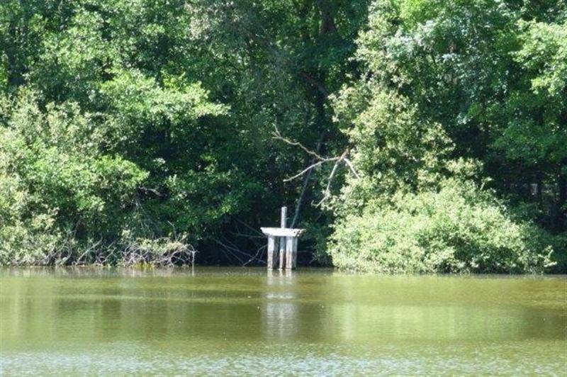 Domaine de chasse avec étang à vendre près de Gien