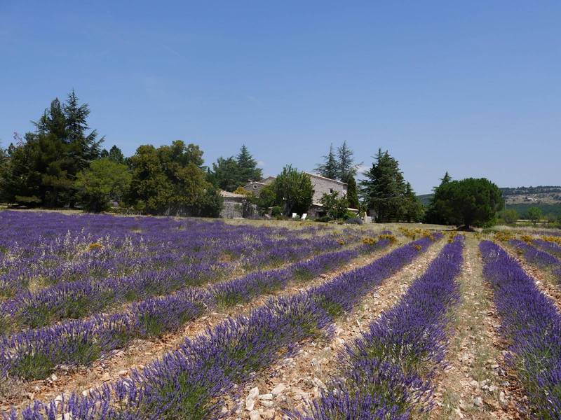 Immobilier simiane la rotonde