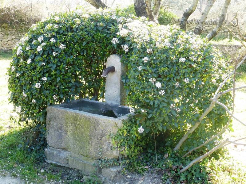 charme et authenticité dans le Luberon