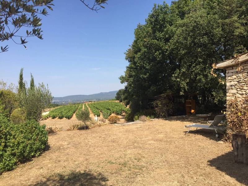 maison à vendre entourée de vignes
