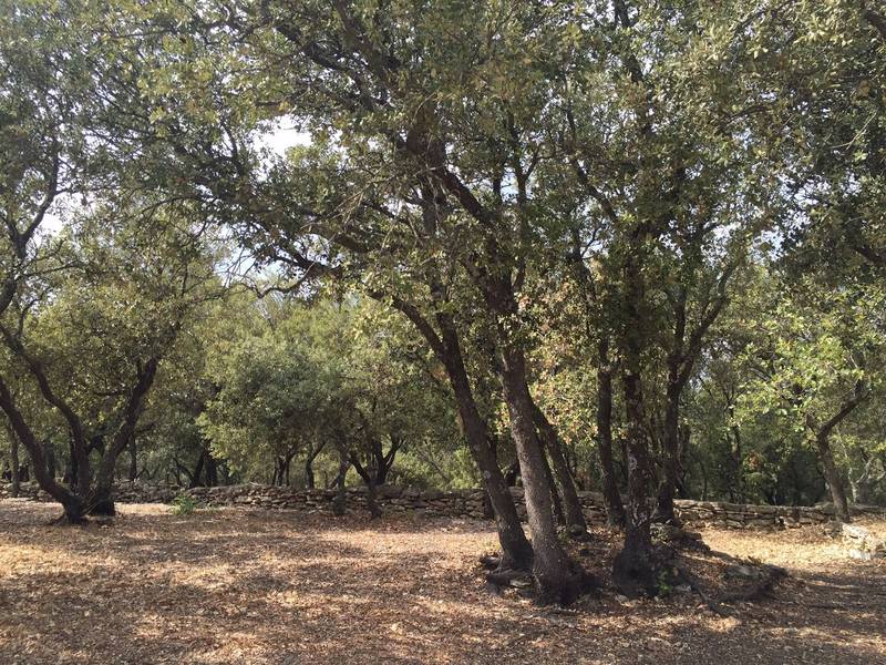 Propriété à la vente à Gordes