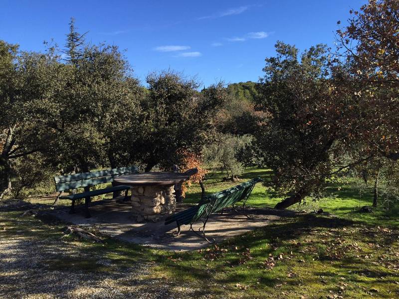 Maison dans une oliveraie en vente à Gordes