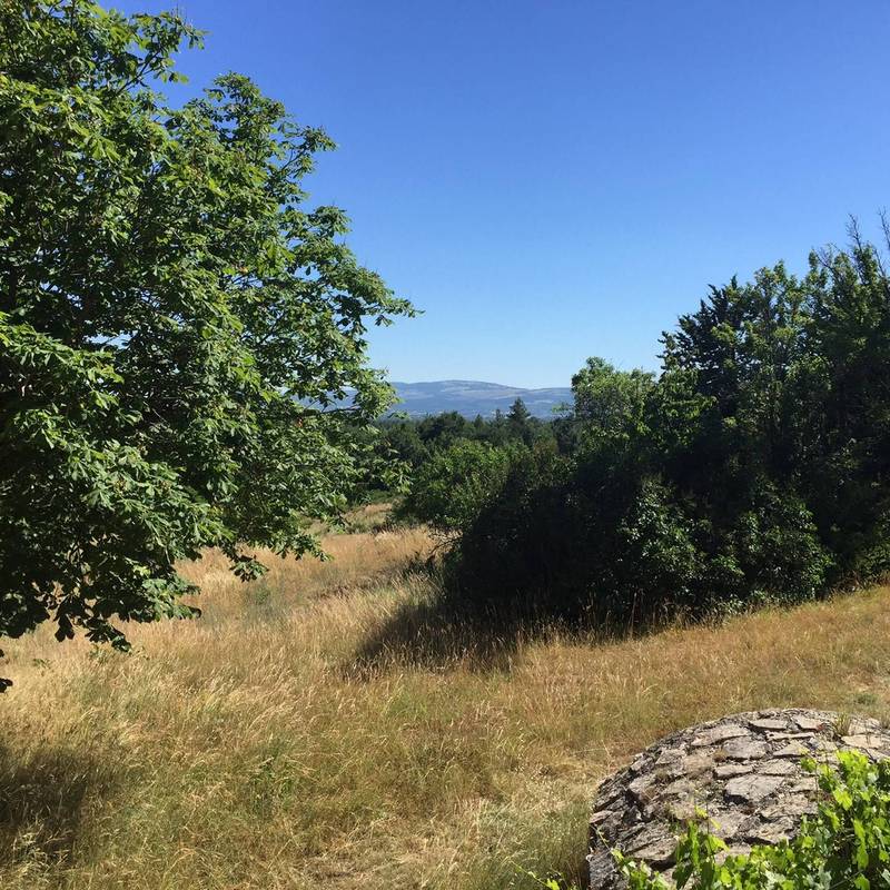 Alpes de Haute Provence domaine à la vente