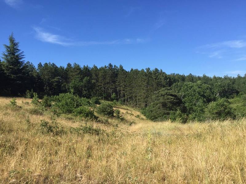 Acheter une propriété avec des bois à Sault