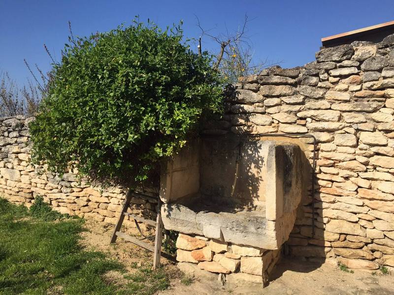 Charme et authenticité dans cette maison à vendre à Menerbes