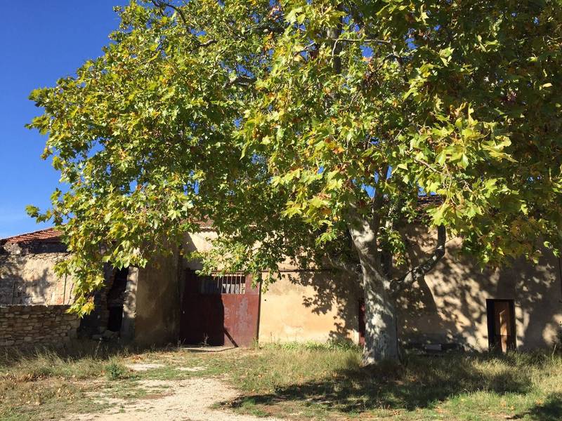 Ferme à restaurer à vendre à Bonnieux