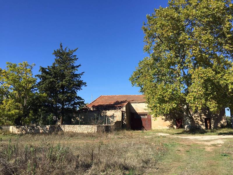 Vignes à vendre à Bonnieux