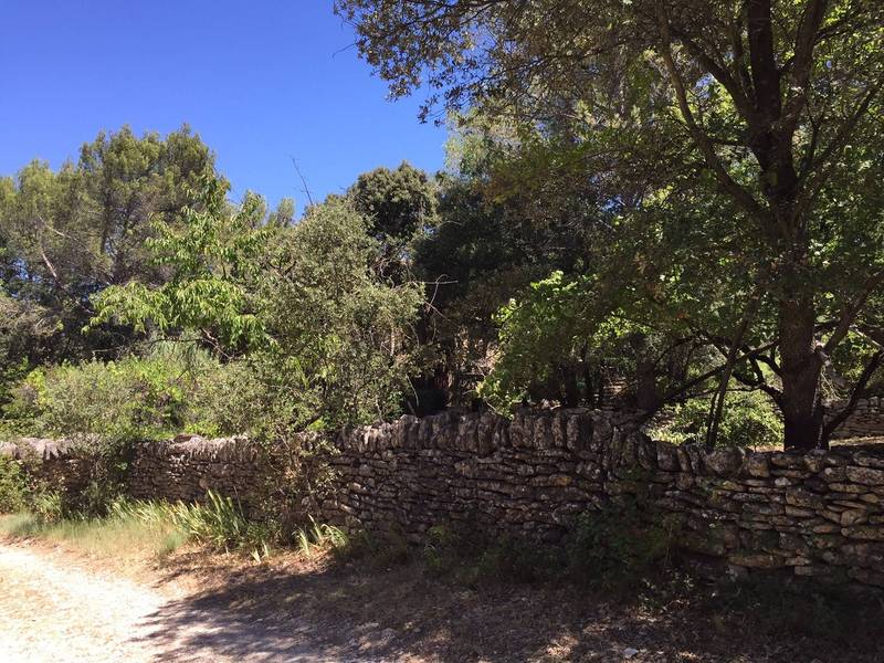 Maison en Pierre à vendre à Menerbes avec un jardin arboré et une piscine