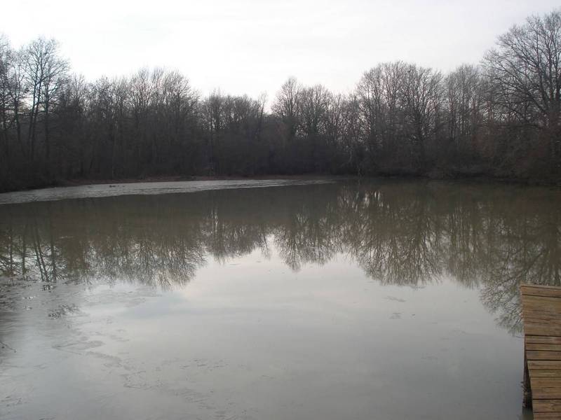 Propriété de chasse à la vente en Sologne