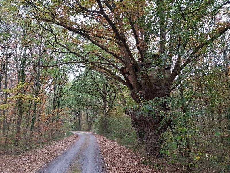 Acheter une chasse en Sologne