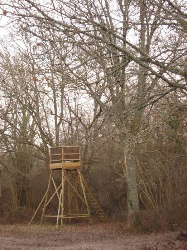 Propriété de Chasse de 24 hectares à vendre en Sologne avec deux maisons restaurées et un étang
