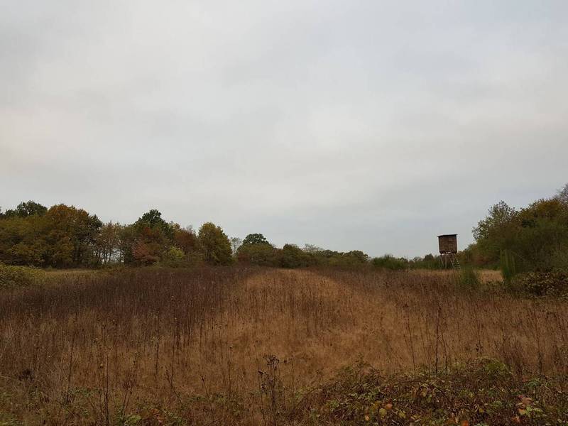Propriété de chasse en vente dans le Loiret