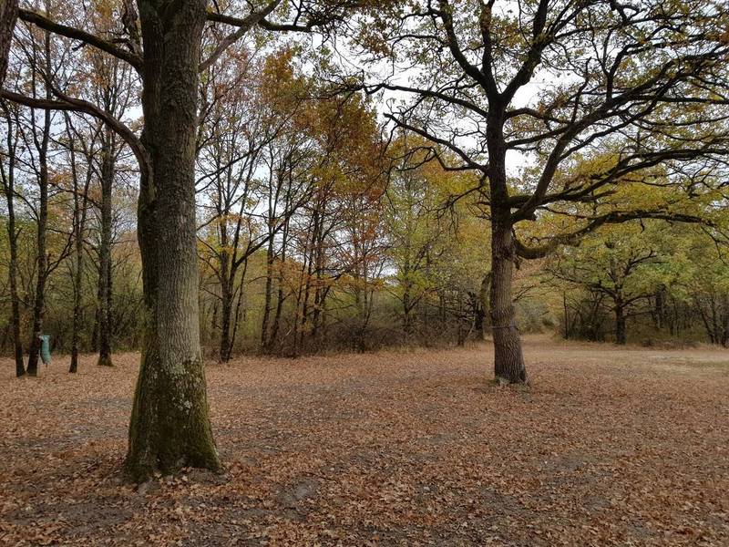 Propriété de chasse en vente dans la région centre val de loire