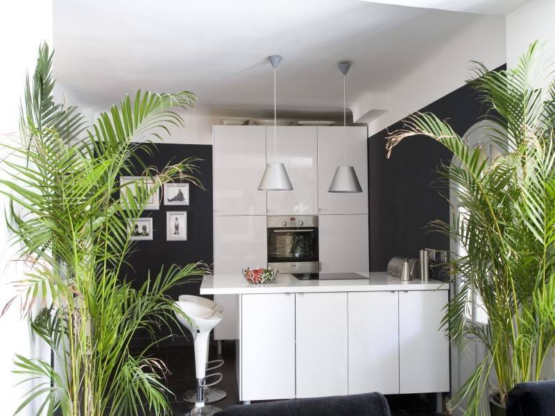 LOFT  L'Isle Sur La Sorgue Centre ville Loft en centre ville avec jardin et piscine