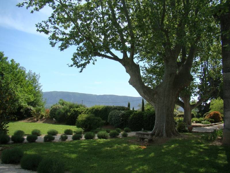 Bastide à vendre à Gordes avec sa cour intérieure