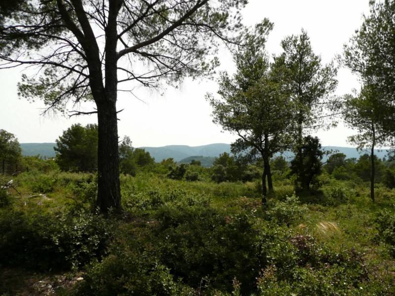 Terrain à bâtir à vendre à Menerbes avec une belle vue vers le Mont Ventoux