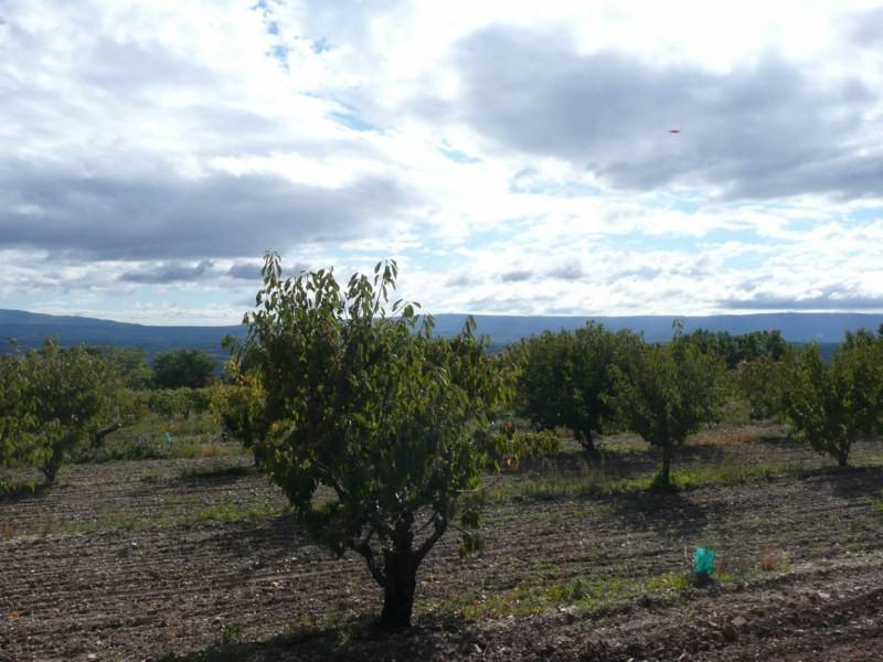 Terrain à bâtir à vendre à Murs avec une belle vue sur la Montagne du Luberon