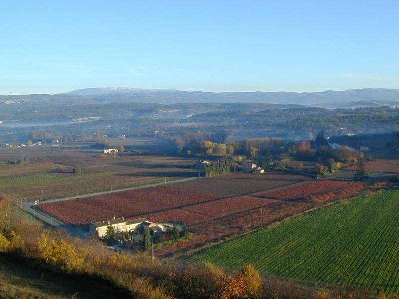 Maison de Village à vendre à Menerbes, restaurée avec terrasse, jardin et belle vue sur le Mont Ventoux