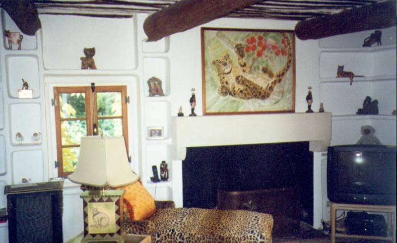 Maison de Village  à vendre à Menerbes avec jardin et piscine en terrasse.