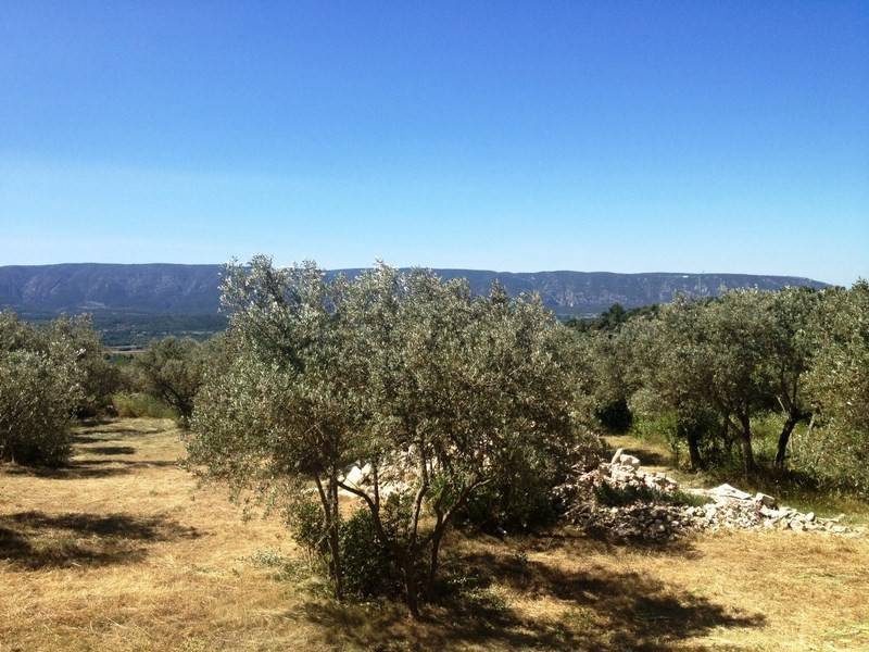 Terrain à bâtir  à vendre à Gordes avec une superbe vue sur la Montagne du Luberon