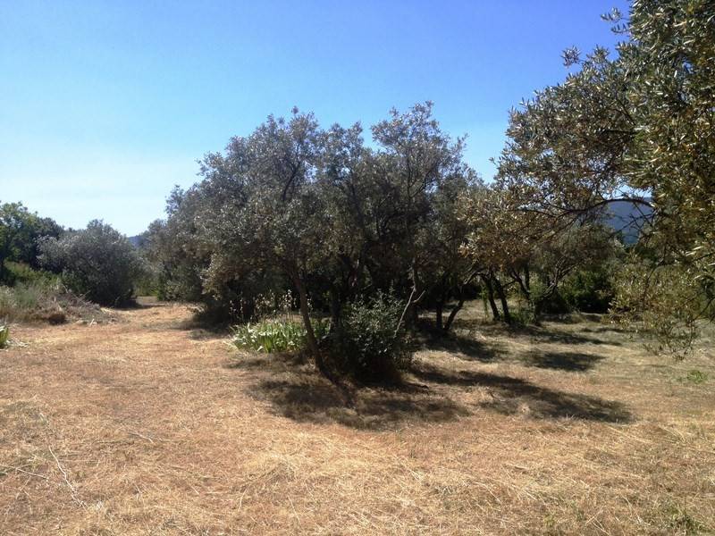 Terrain à bâtir  à vendre à Gordes avec une superbe vue sur la Montagne du Luberon