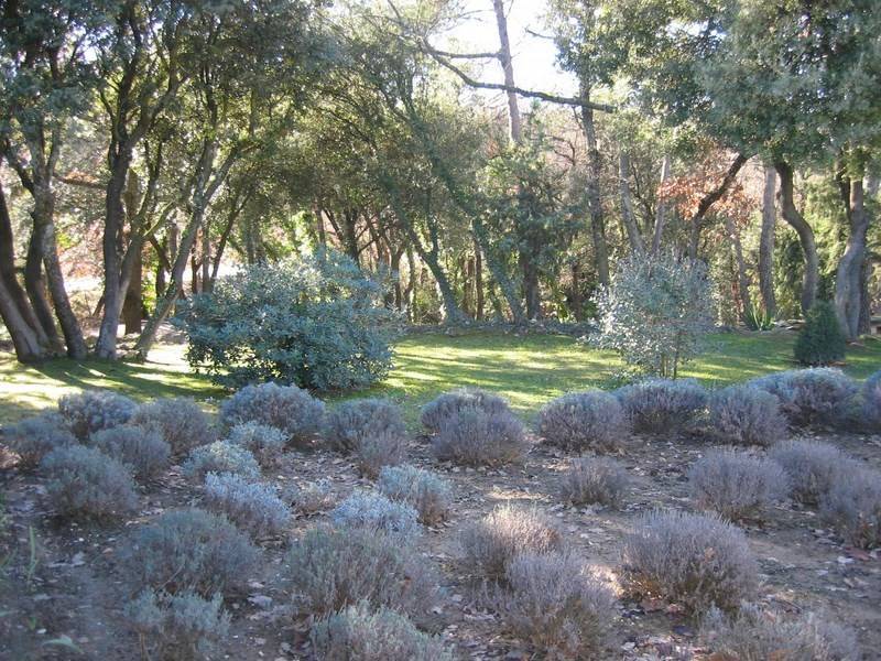 Acheter une villa à Menerbes